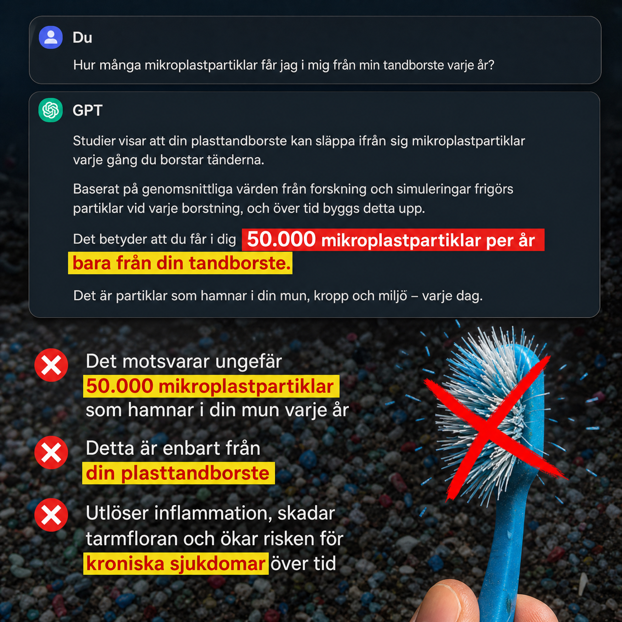 Evron Vildsvinsborstin & Bambu Tandborste (4-pack)