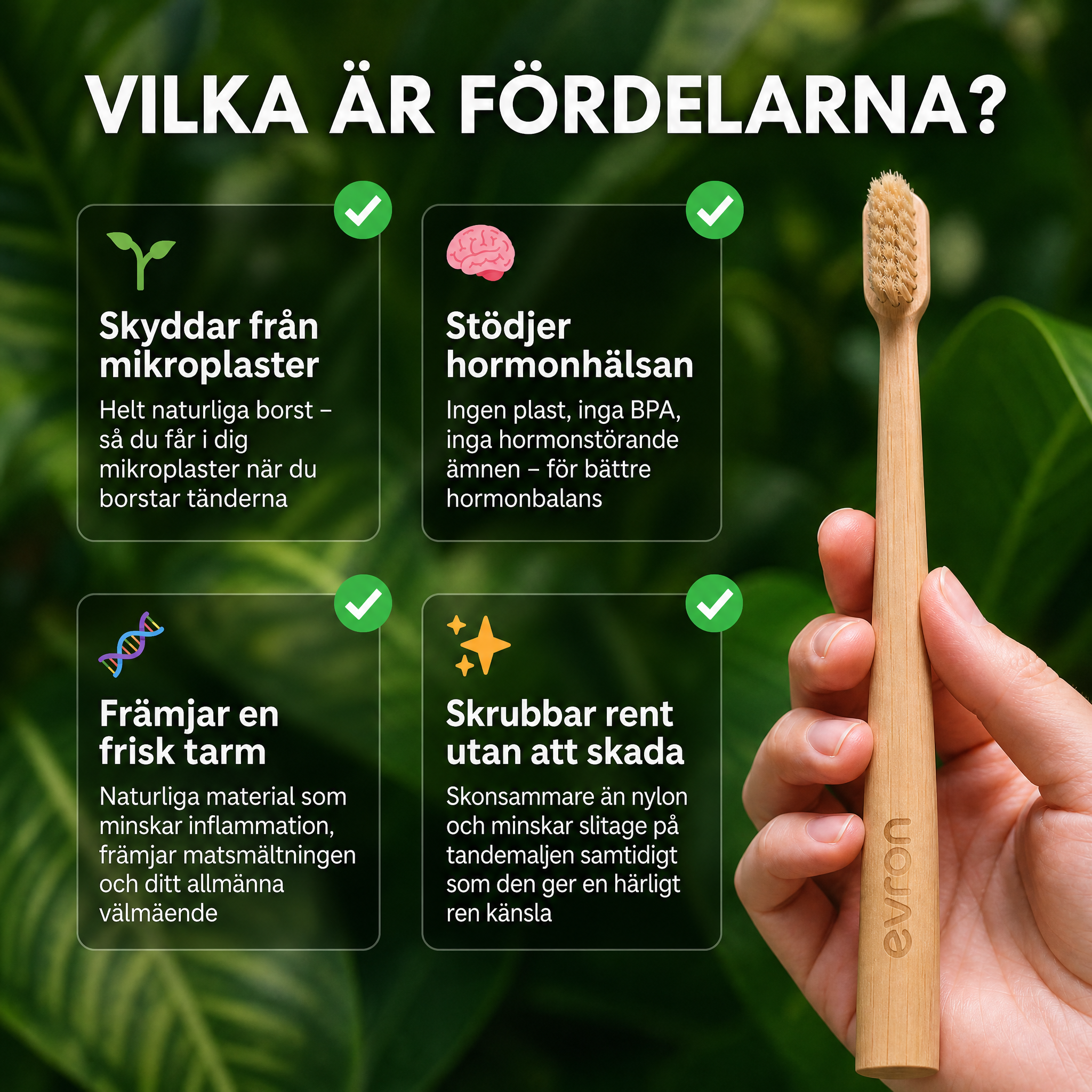 Evron Vildsvinsborstin & Bambu Tandborste (4-pack)
