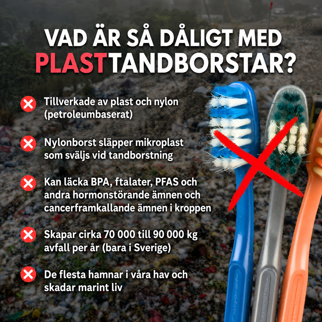 Evron Vildsvinsborstin & Bambu Tandborste (4-pack)